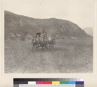Photo 8: Wealthy woman with peasant in troika