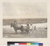 Photo 17: Wealthy woman with escort in cart