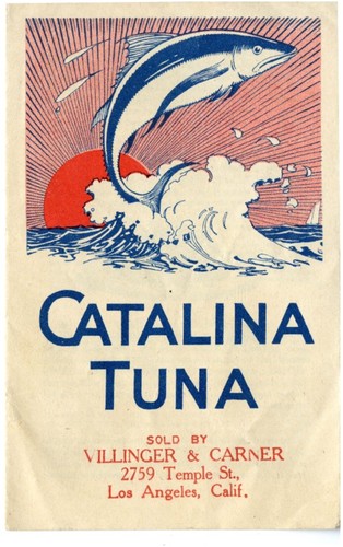 Catalina Tuna