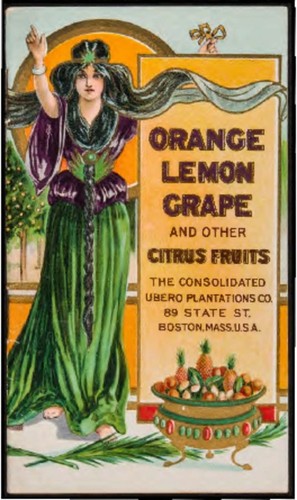 Orange, lemon, grape- and other citrus fruits