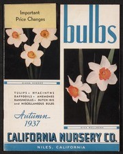 Bulbs Autumn 1937