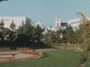 Golden Gate International Exposition and an Easter Egg Hunt in Niles
