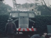 Moving specimen trees; planting seedlings at Loomis