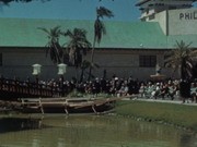 Golden Gate International Exposition 1939-1940; Nursery's exhibit "Old Adobe"; Baby Diane Roeding