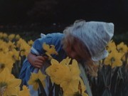 Bulb Show at the California Nursery in ~1942