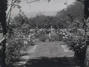 Rancho de las Rosas in San Jose, San Jose Municipal Rose Garden, and Oakland Municipal rose garden