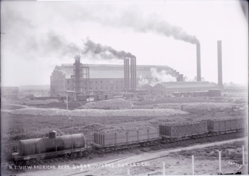 American Beet Sugar Factory