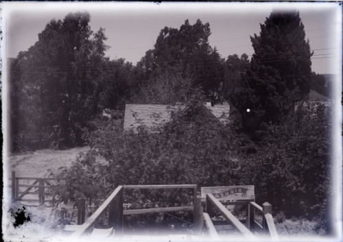 Studio with Trees in Background