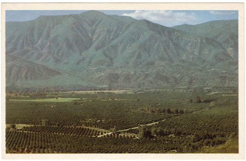 Ojai Valley