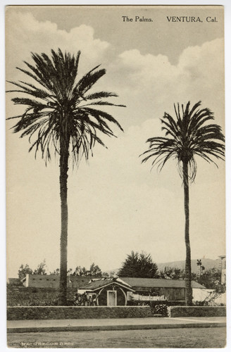 The Palms, Ventura