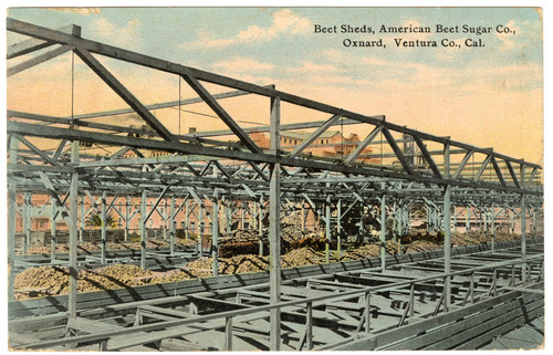 Beet Sheds, American Beet Sugar Co., Oxnard