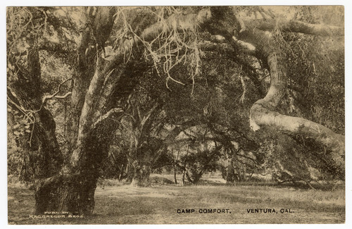 Camp Comfort, Ventura