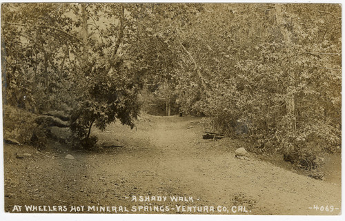 A Shady Walk at Wheelers Hot Springs