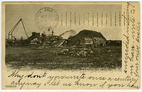 Bean Threshing in Ventura County