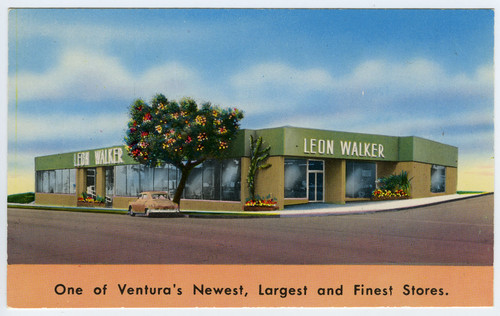 Leon Walker Store