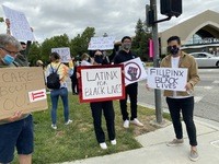 Variety of Protest Signs