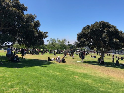 Protestors in Cemetery Park