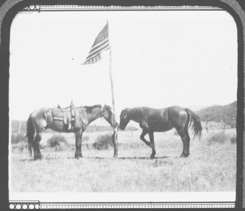 Potrero Seco Forest Service Station