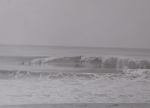 Group of Surfers