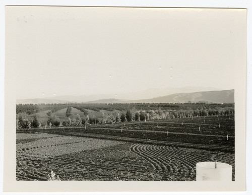 Hondo Ranch Lemon Grove View from Berylwood Road