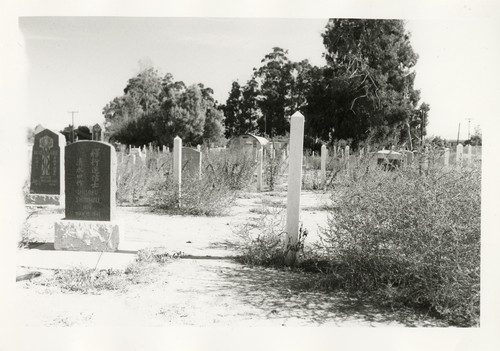 Japanese Cemetery Looking East