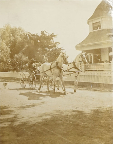 Man and Two Children in Horse Drawn Carriage