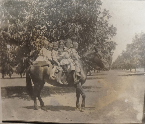 "Room for One More!" Daily Children on Pony