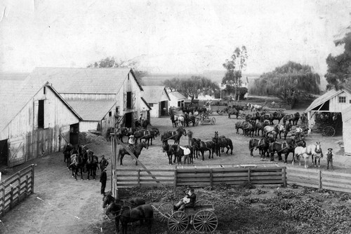 Patterson Ranch Scene — Calisphere