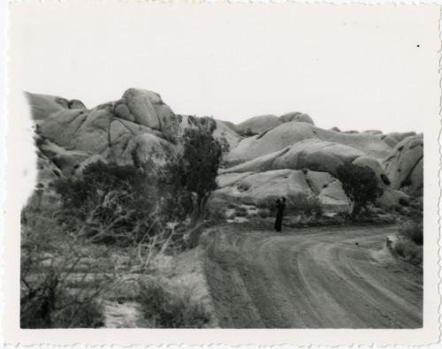 Woman Photographs Boulders in Joshua Tree National Park