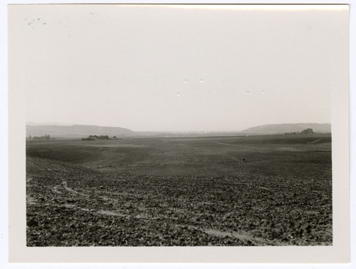 Rural Field Scene