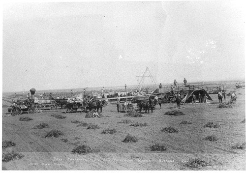 Lima Bean Threshing on J. D. Patterson Ranch