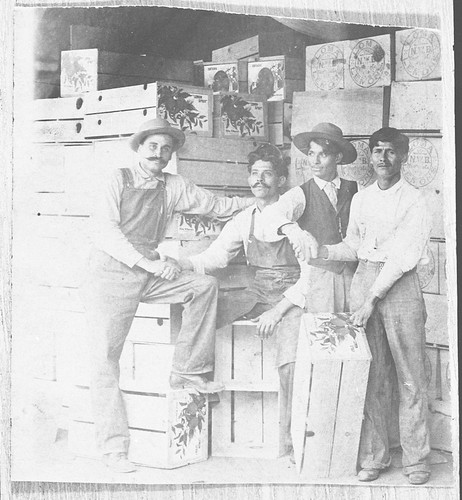 Boxmakers at Blanchard Packinghouse in Santa Paula