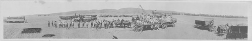 Lima Bean Threshing Group Photo