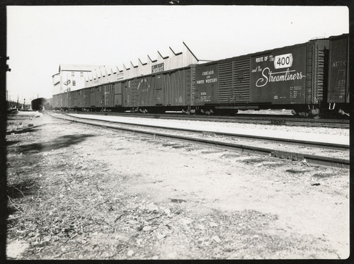 Freight Train Stopped on Tracks