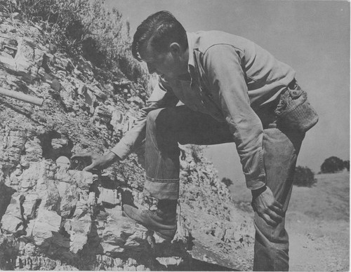 Man Checking Hillside for Oil