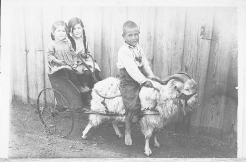 Children on Goat Drawn Wagon