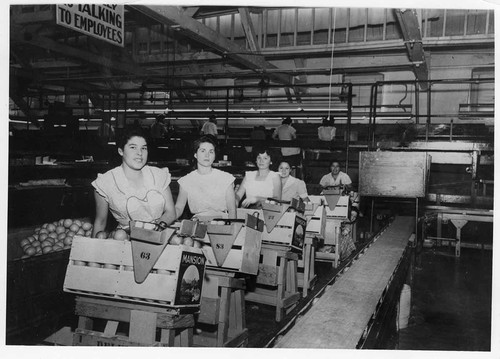 Packing House Workers