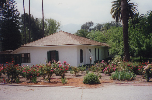 Rancho Camulos Rose Garden