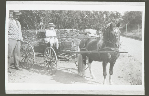 Katherine L. Hoffman Driving a Horse and Wagon