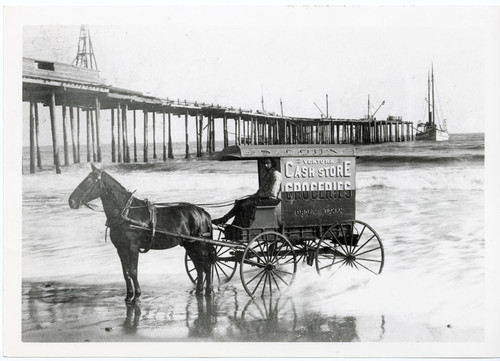 Delivery Wagon and Horse on the Beach