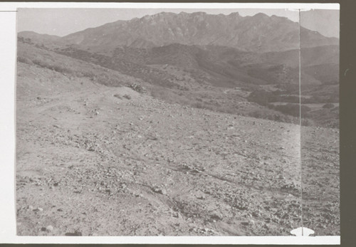 Old Boney Mountain and Surrounding Chaparral