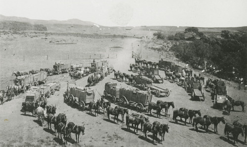 Hauling Grain to Hueneme