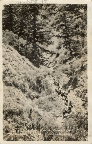 Trail to Upper Sespe River from Wheeler Hot Springs