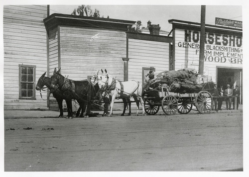 Mail and Freight on a Mule Drawn Wagon