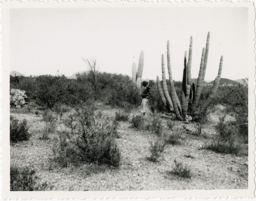 Ruth and Perky in a Desert Landscape