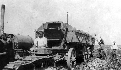 William McLoughlin on Beet Wagon