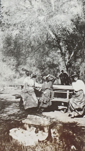 People at Picnic Among Trees