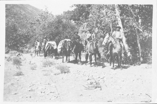 Hunting Party on North Fork of Matilija Creek