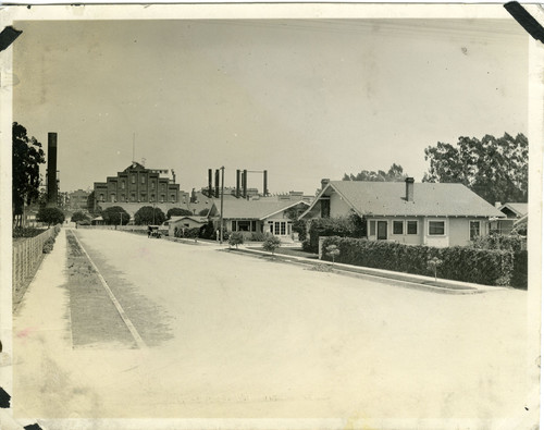 Street Leading to Oxnard Sugar Beet Factory