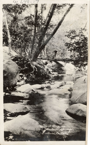 Trout Stream at Wheeler Hot Springs